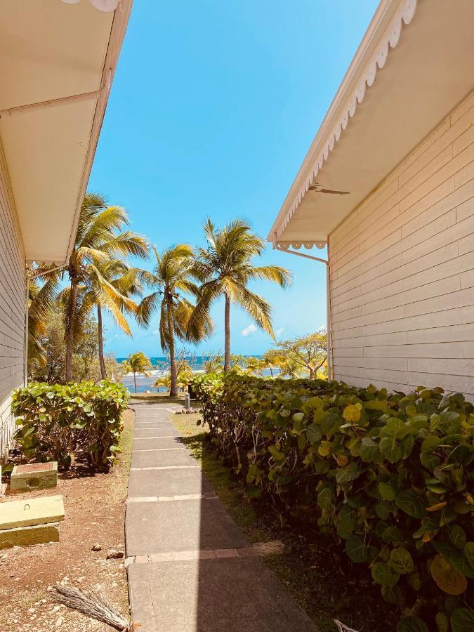 Tucum Home - Appart Au Village Vacances Sainte Anne Eksteriør billede